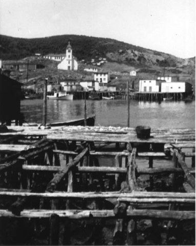 007: View across Red Island harbour. (1966) [courtesy of Teresa (Healey) McCarthy]